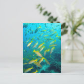Gele snappelvis op koraalrif briefkaart (Staand voorkant)