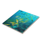 Gele snappelvis op koraalrif tegeltje (Zijkant)