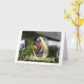 Gele Spaanders Kaart (Gele Bloem)