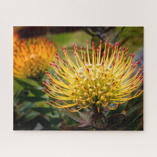 Gele speldenkussen van Kula Legpuzzel (Horizontaal)