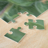 Gele strandavondprimula, Oakland Legpuzzel (Zijkant)