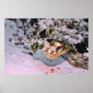 Gele strandstraal onderweg poster