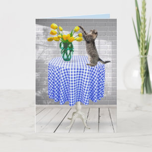 Gele struisvogels met kat kaart