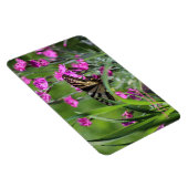 Gele Swallowtail Vlinder en Roze Dianthus Magneet (Rechterzijde)