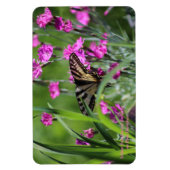 Gele Swallowtail Vlinder en Roze Dianthus Magneet (Verticaal)