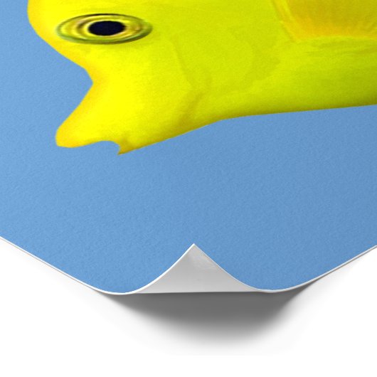 Gele Tang Tropical Fish Poster (Hoek)