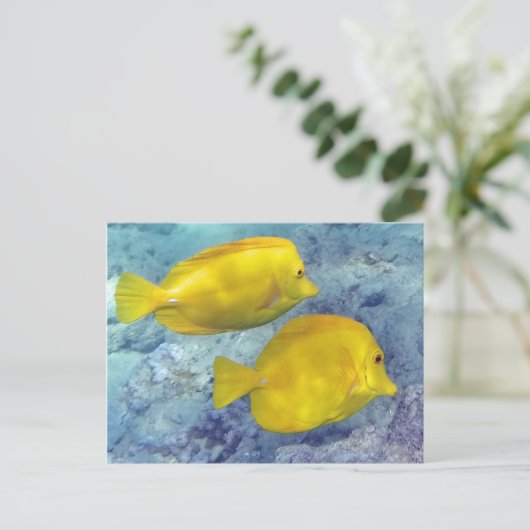 Gele tangs briefkaart (Staand voorkant)