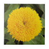 Gele Teddy Bear Sunflower Floral Tegeltje (Voorkant)