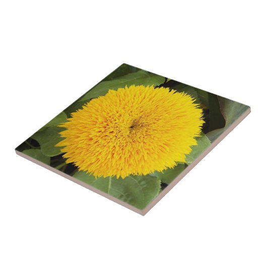 Gele Teddy Bear Sunflower Floral Tegeltje (Zijkant)