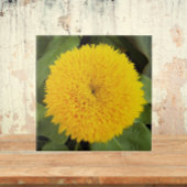 Gele Teddy Bear Sunflower Floral Tegeltje