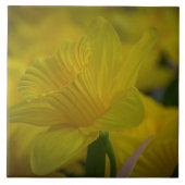 Gele tegel van keramische makelaars tegeltje (Voorkant)