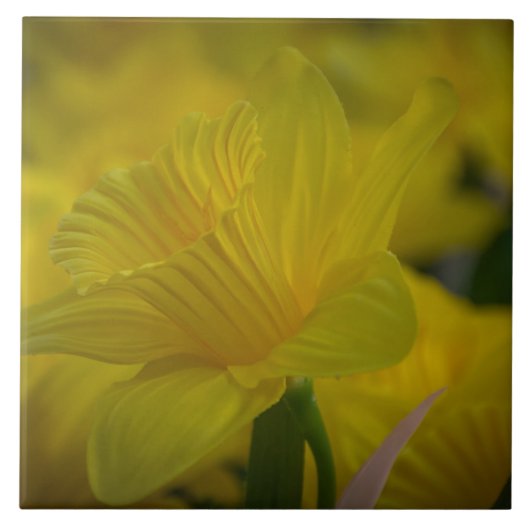 Gele tegel van keramische makelaars tegeltje (Voorkant)