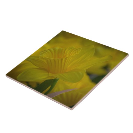 Gele tegel van keramische makelaars tegeltje (Zijkant)