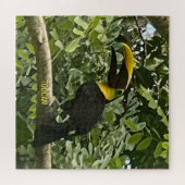 Gele-Throated Toucan Costa Rica Design Puzzle Legpuzzel (Horizontaal)