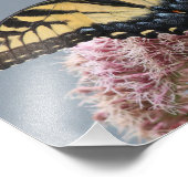 Gele Tijger Swallowtail Vlinder op roze bloem Foto Afdruk (Hoek)