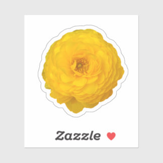 Gele Transvaal Daisy Blossom Sticker