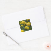 Gele Trollius Stickers (Envelop)