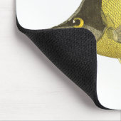 Gele Tropische Chelmon Longirostris, Oude Vis Muismat (Hoek)