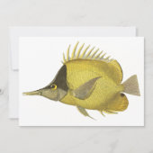 Gele Tropische Chelmon Longirostris, Vintage Vis (Voorkant)