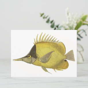 Gele Tropische Chelmon Longirostris, Vintage Vis