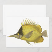 Gele Tropische Chelmon Longirostris, Vintage Vis (Voorkant / Achterkant)