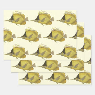 Gele Tropische Chelmon Longirostris, Vintage Vis Inpakpapier Vel