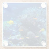 Gele tropische vissen glazen onderzetter (Achterkant)