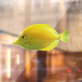 Gele tropische vissen  raamsticker (Vel 2)