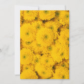 Gele tuinasters Perfecte kleurenzomerbloem Kaart (Voorkant)