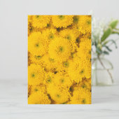 Gele tuinasters Perfecte kleurenzomerbloem Kaart (Staand voorkant)