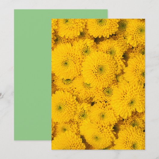 Gele tuinasters Perfecte kleurenzomerbloem Kaart (Voorkant / Achterkant)