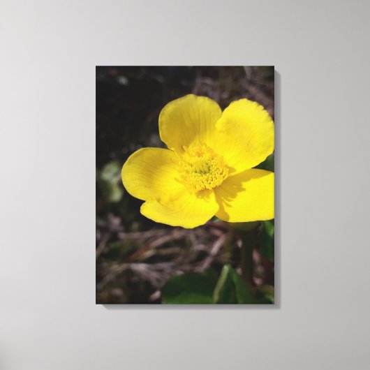 Gele tuinbloem canvas afdruk (Voorkant)