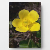 Gele tuinbloem fotoplaat (voorkant)