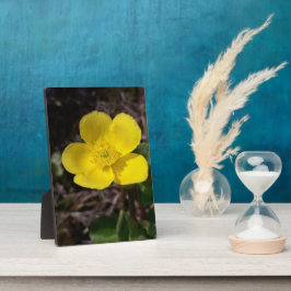 Gele tuinbloem fotoplaat