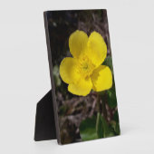 Gele tuinbloem fotoplaat (Zijkant)