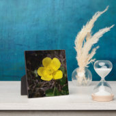 Gele tuinbloem fotoplaat (Insitu)