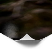 Gele tuinbloem perfect poster (Hoek)