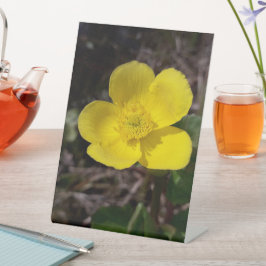 Gele tuinbloem reclamebord met voetstuk