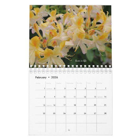 Gele tuinbloemen kalender (Feb 2026)