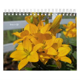 Gele tuinbloemen kalender