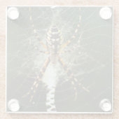 Gele tuinspin op het web in het donker glazen onderzetter (Achterkant)