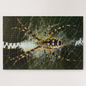 Gele tuinspin op het web in het donker legpuzzel (Horizontaal)