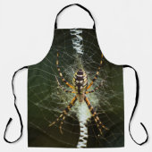 Gele tuinspin op het web in het donker schort (Voorkant)