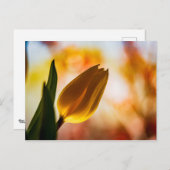 Gele Tulip Quick Hallo Briefkaart (Voorkant / Achterkant)