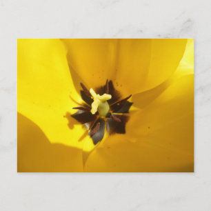 Gele Tulip Sluiten met DIY-Briefkaart Briefkaart