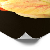Gele Tulp Bloemblaadjes Boeket Poster (Hoek)