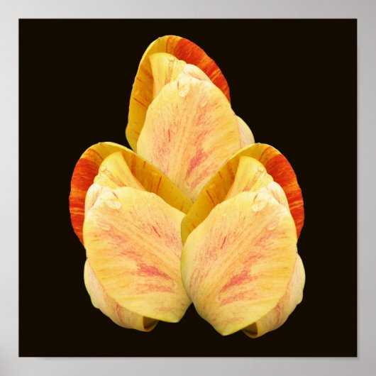 Gele Tulp Bloemblaadjes Boeket Poster (Voorkant)