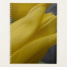 Gele Tulp Bloemen Planner – Bloemenfotografie