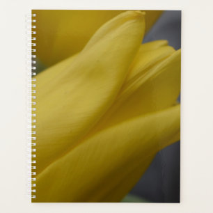 Gele Tulp Bloemen Planner – Bloemenfotografie
