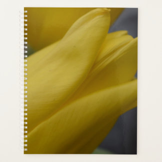 Gele Tulp Bloemen Planner – Bloemenfotografie